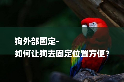 狗外部固定-
如何讓狗去固定位置方便？