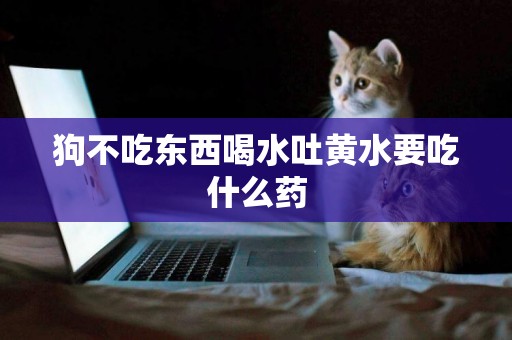 狗不吃東西喝水吐黃水要吃什么藥