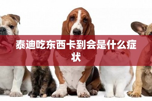 泰迪吃東西卡到會是什么癥狀