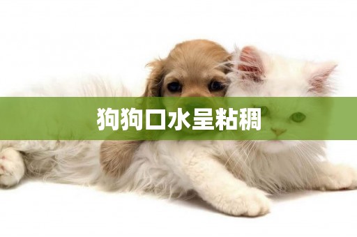 狗狗口水呈粘稠