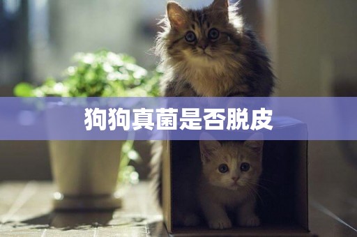 狗狗真菌是否脫皮