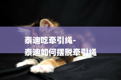 泰迪吃牽引繩-
泰迪如何擺脫牽引繩