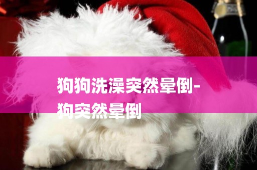 狗狗洗澡突然暈倒-
狗突然暈倒