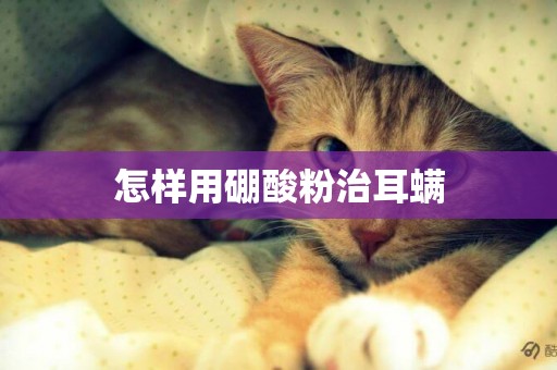 怎樣用硼酸粉治耳螨