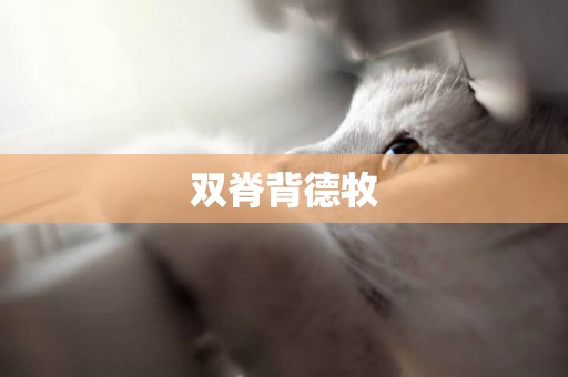 雙脊背德牧