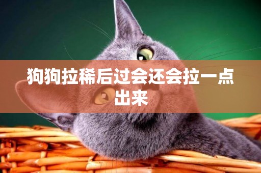 狗狗拉稀后過會還會拉一點出來