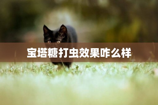 寶塔糖打蟲效果咋么樣