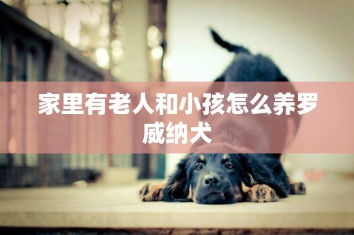 家里有老人和小孩怎么養羅威納犬