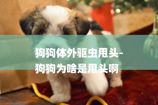 狗狗體外驅蟲甩頭-
狗狗為啥是甩頭啊