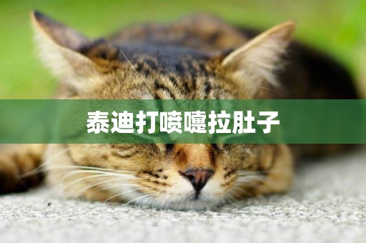 泰迪打噴嚏拉肚子