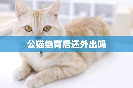 公貓絕育后還外出嗎
