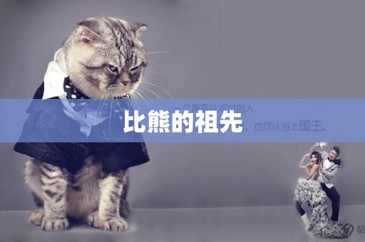 比熊的祖先
