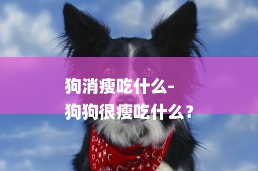 狗消瘦吃什么-
狗狗很瘦吃什么？