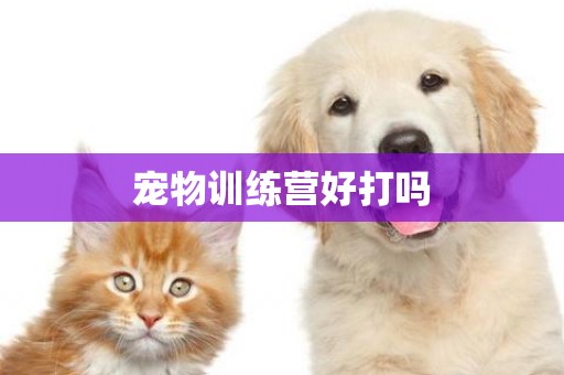 寵物訓練營好打嗎