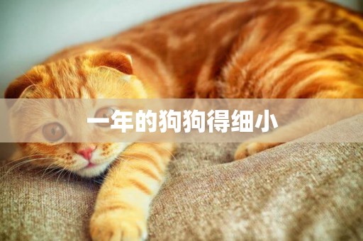 一年的狗狗得細小