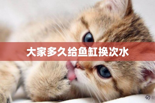 大家多久給魚缸換次水