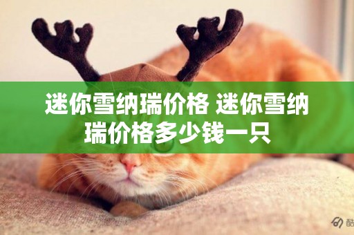 迷你雪納瑞價格 迷你雪納瑞價格多少錢一只