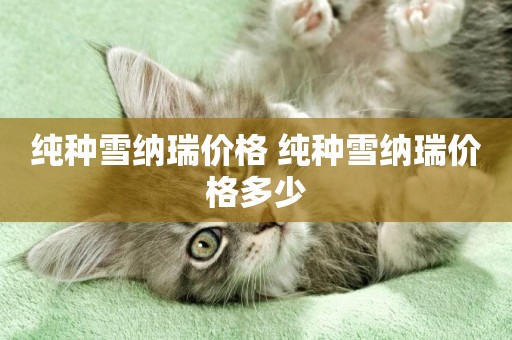 純種雪納瑞價格 純種雪納瑞價格多少