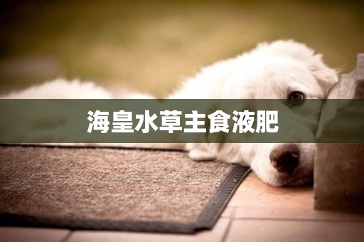 海皇水草主食液肥