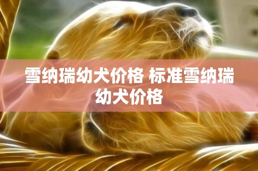雪納瑞幼犬價格 標準雪納瑞幼犬價格
