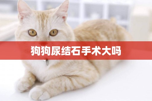 狗狗尿結石手術大嗎