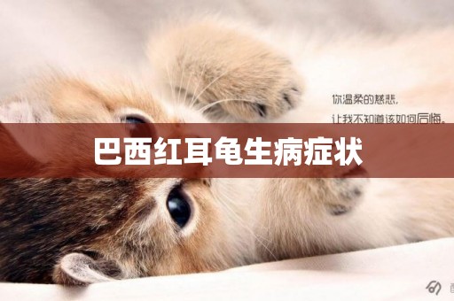 巴西紅耳龜生病癥狀