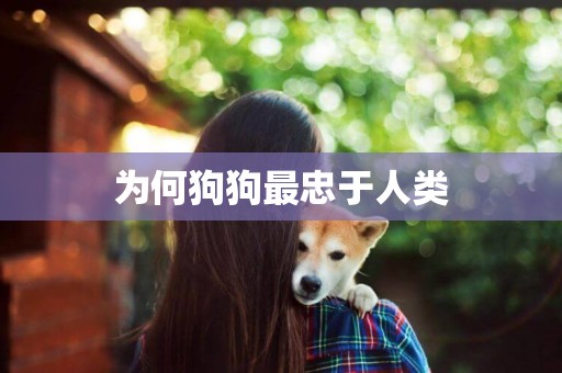 為何狗狗最忠于人類