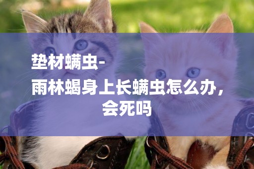 墊材螨蟲-
雨林蝎身上長螨蟲怎么辦，會死嗎