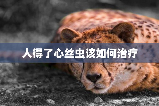人得了心絲蟲該如何治療