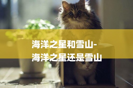 海洋之星和雪山-
海洋之星還是雪山