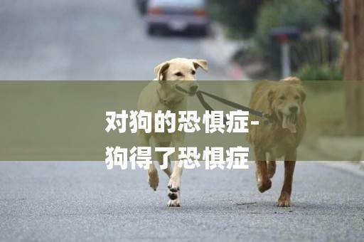 對狗的恐懼癥-
狗得了恐懼癥