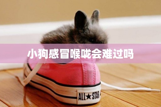 小狗感冒喉嚨會難過嗎