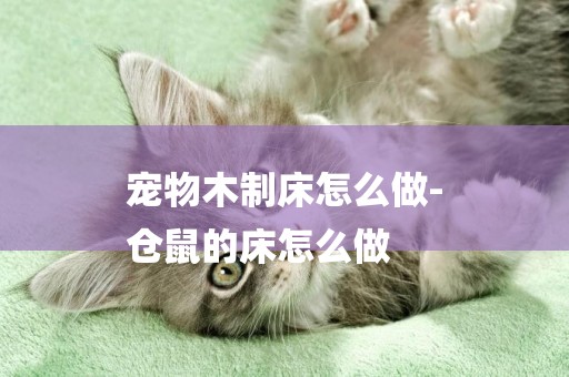 寵物木制床怎么做-
倉鼠的床怎么做