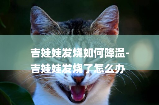 吉娃娃發燒如何降溫-
吉娃娃發燒了怎么辦