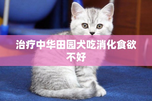 治療中華田園犬吃消化食欲不好