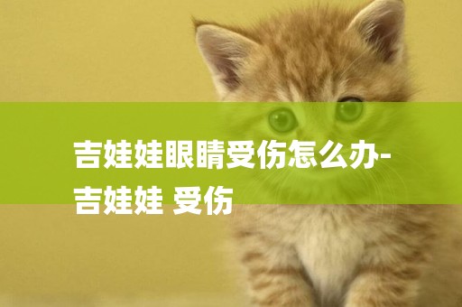 吉娃娃眼睛受傷怎么辦-
吉娃娃 受傷