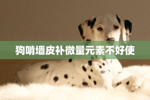 狗啃墻皮補微量元素不好使