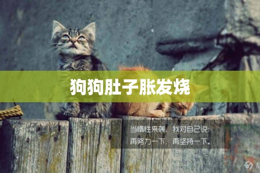 狗狗肚子脹發燒
