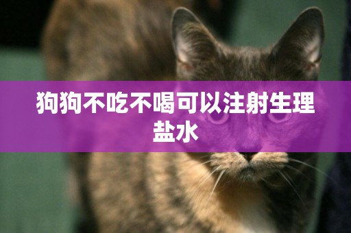 狗狗不吃不喝可以注射生理鹽水