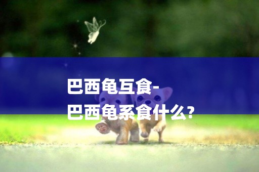 巴西龜互食-
巴西龜系食什么?