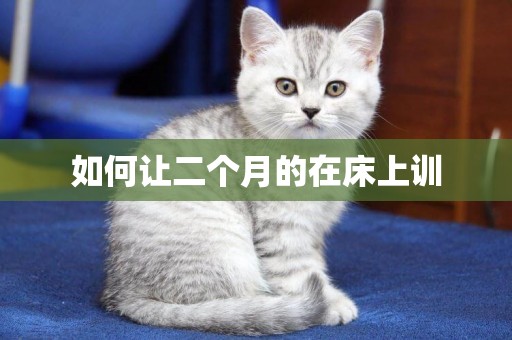 如何讓二個月的在床上訓