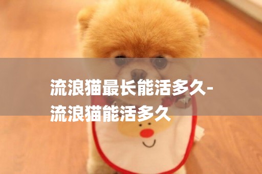 流浪貓最長能活多久-
流浪貓能活多久