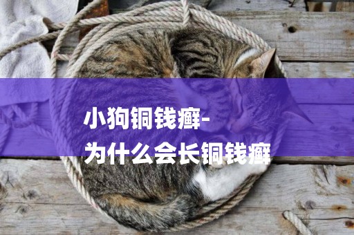 小狗銅錢癬-
為什么會長銅錢癬