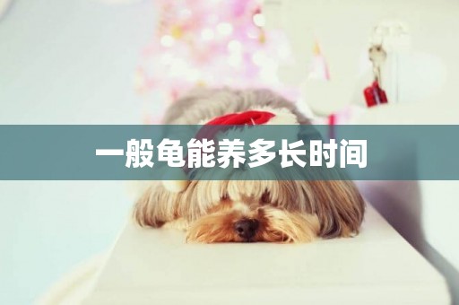 一般龜能養多長時間