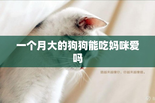 一個月大的狗狗能吃媽咪愛嗎