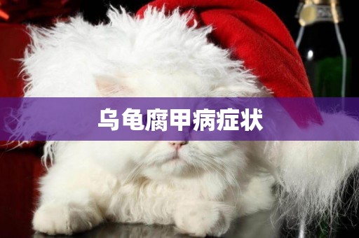 烏龜腐甲病癥狀