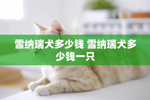 雪納瑞犬多少錢 雪納瑞犬多少錢一只