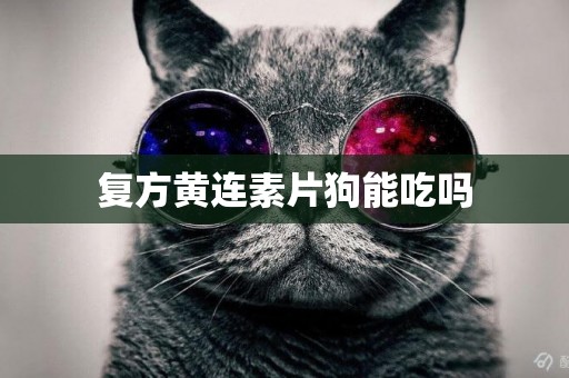 復方黃連素片狗能吃嗎