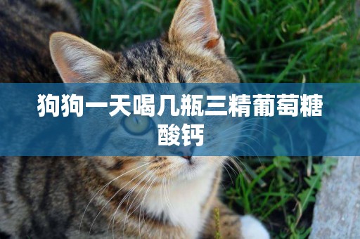 狗狗一天喝幾瓶三精葡萄糖酸鈣