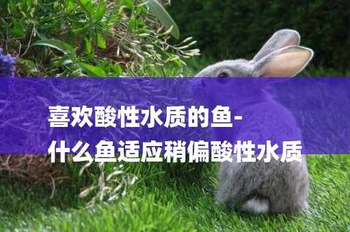 喜歡酸性水質的魚-
什么魚適應稍偏酸性水質